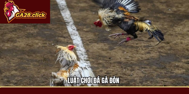 Luật chơi Đá gà đòn