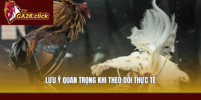 Lưu ý quan trọng khi theo dõi thực tế